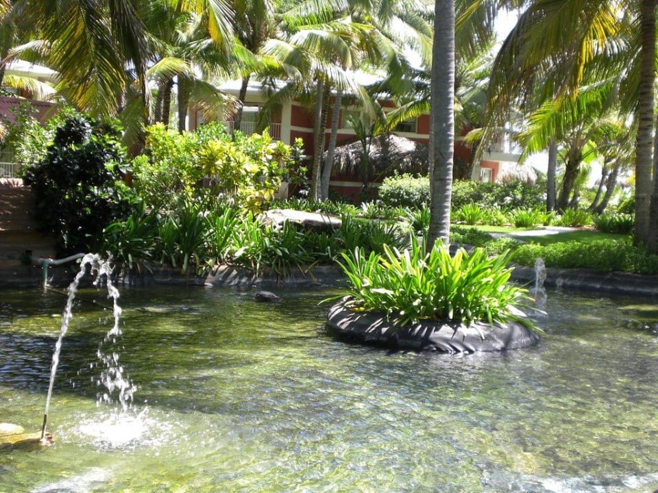 Vom Balkon auf den Teich Grand Palladium Select Bávaro Resort & Spa