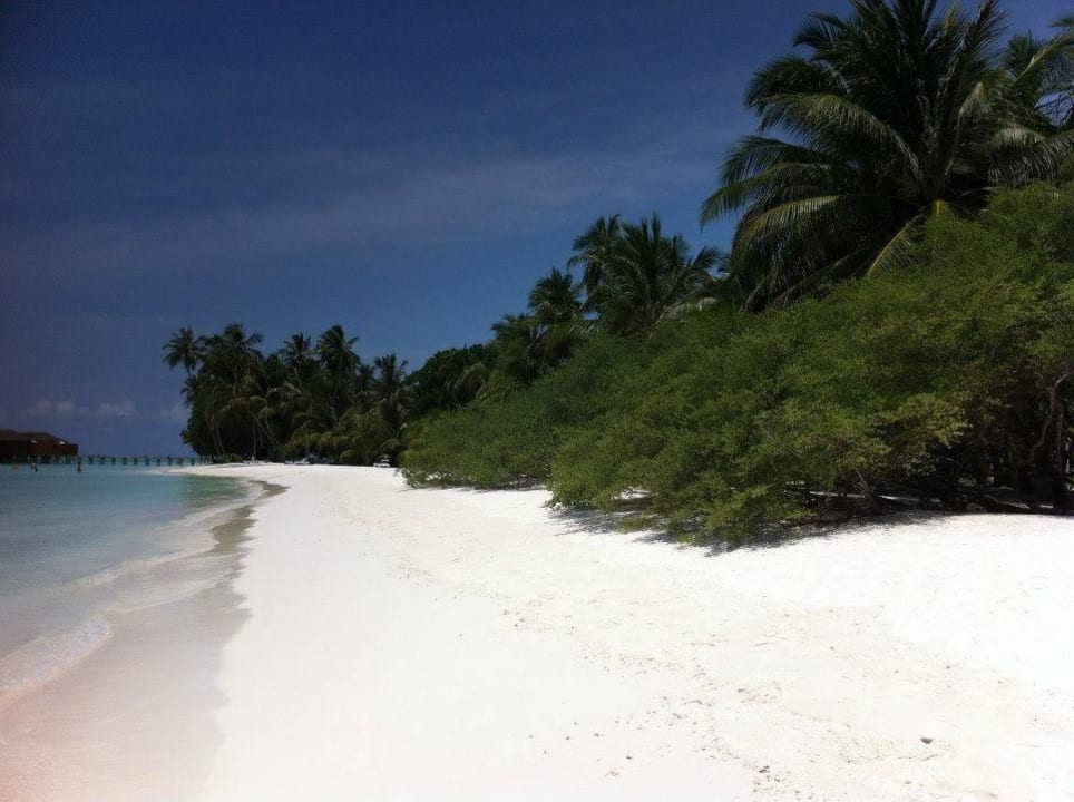 Weißer Sand überall Meeru Maldives Resort Island