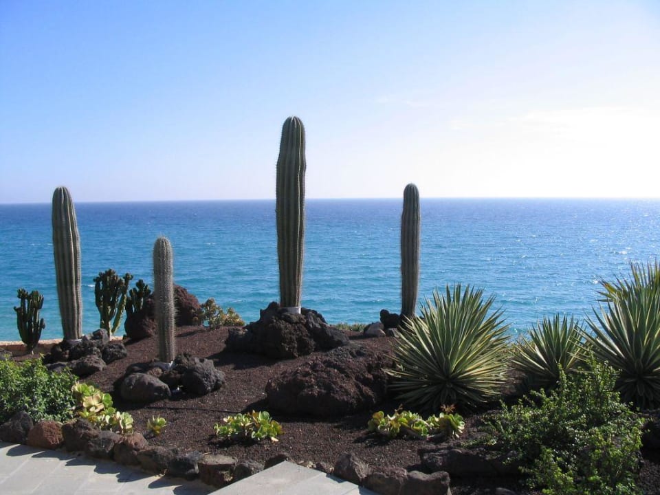 Blick auf's Meer R2 Pajara Beach