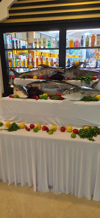 Gastro Adalya Elite Lara