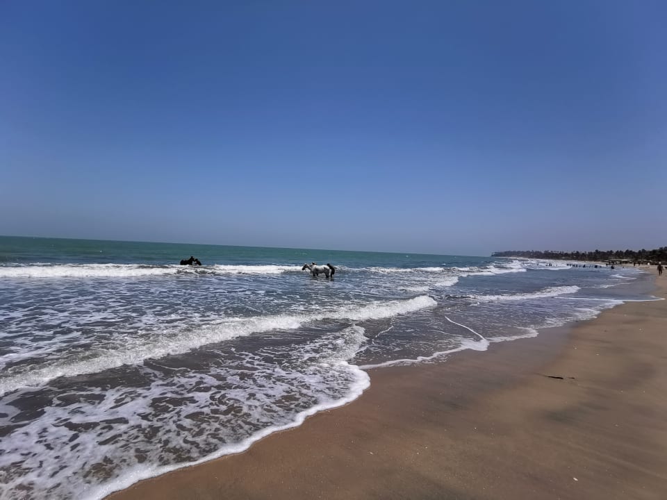 Strand TUI BLUE Tamala