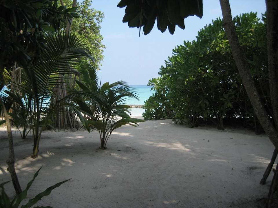 Blick vom Bungalow Kuramathi Maldives