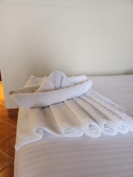 Zimmer Three Corners Sea Beach Resort