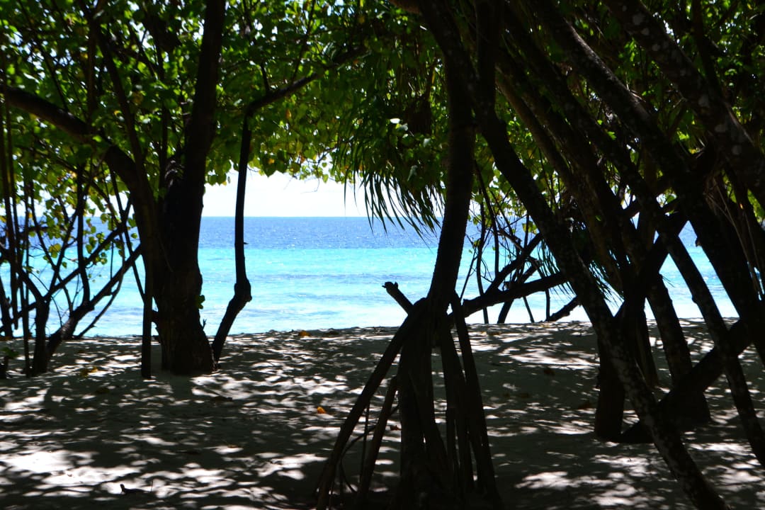 Beach NH Collection Maldives Reethi Resort