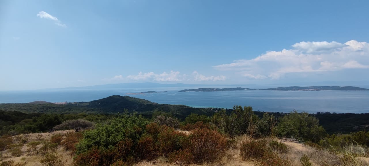 Ausblick Akrathos Beach Hotel