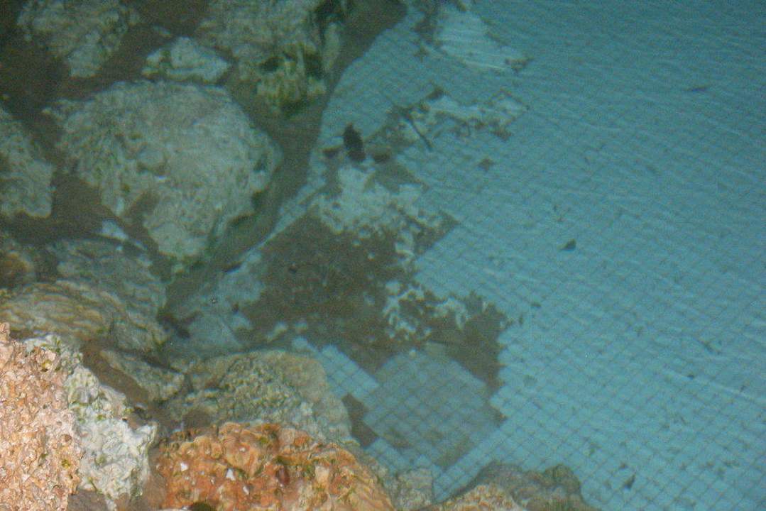 Dringend renovierungsbedürftig  Grand Makadi