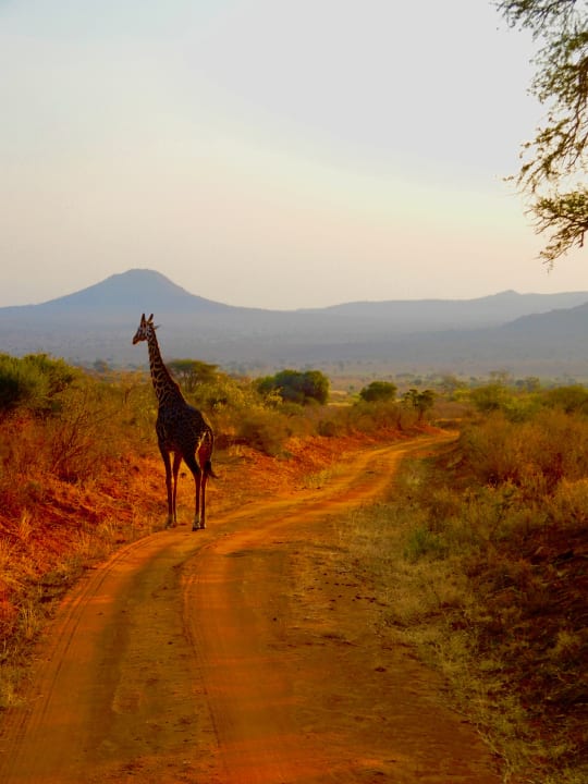 Außenansicht Rhino Valley Lodge