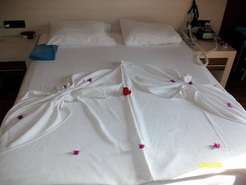 Zimmer Hotel Club Paradiso