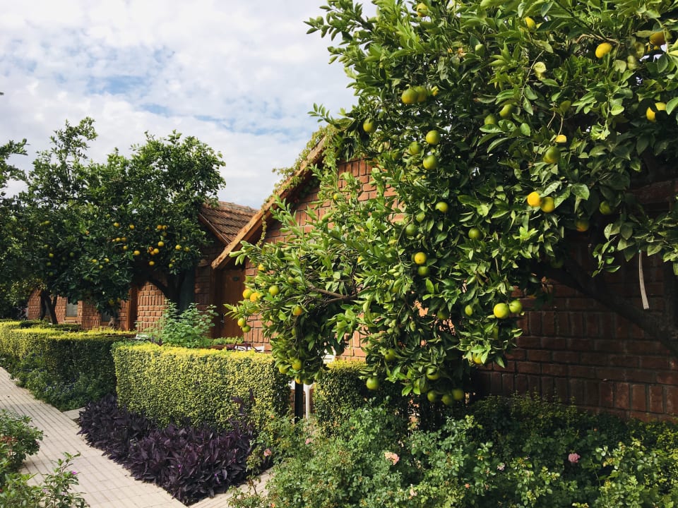 Gartenanlage Can Garden Beach