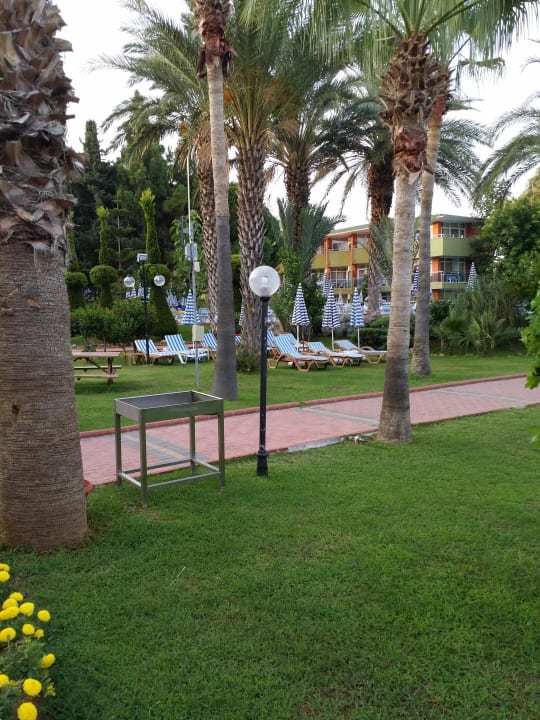 Anlage Lonicera Resort & Spa Hotel