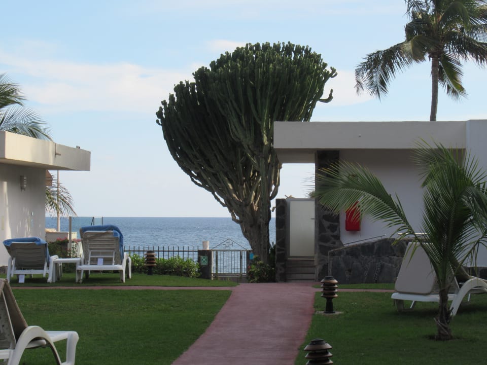 Gartenanlage Bull Costa Canaria & Spa - Adults only