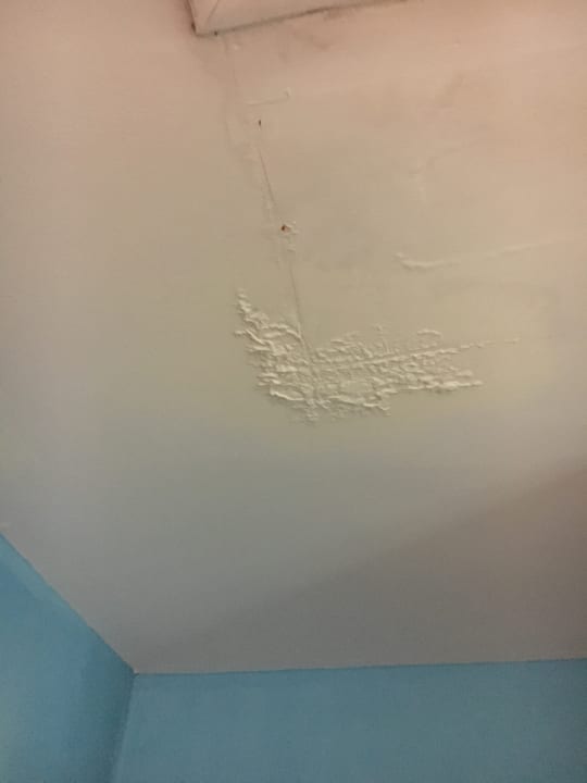 Zimmer The Green Park Resort