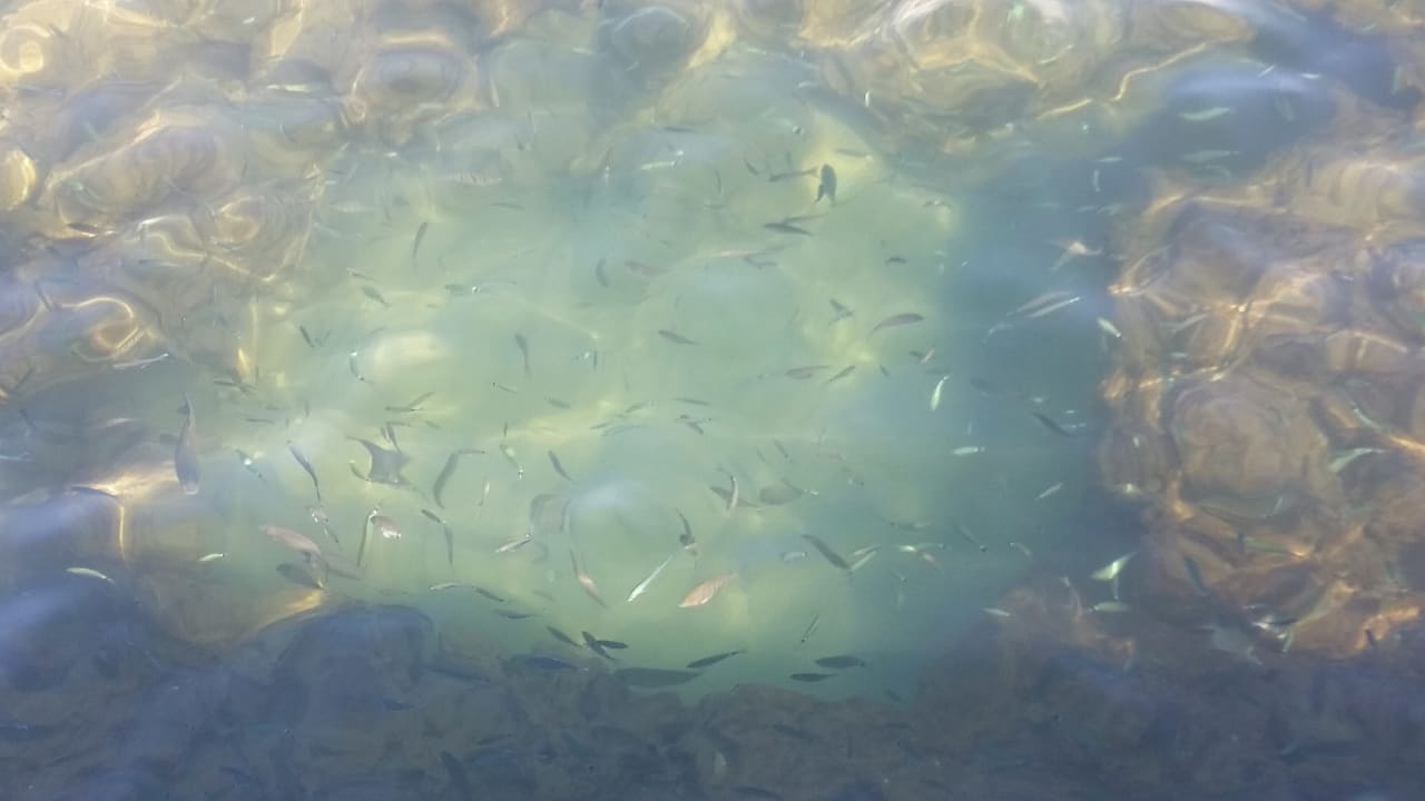 Strand VONRESORT Golden Beach