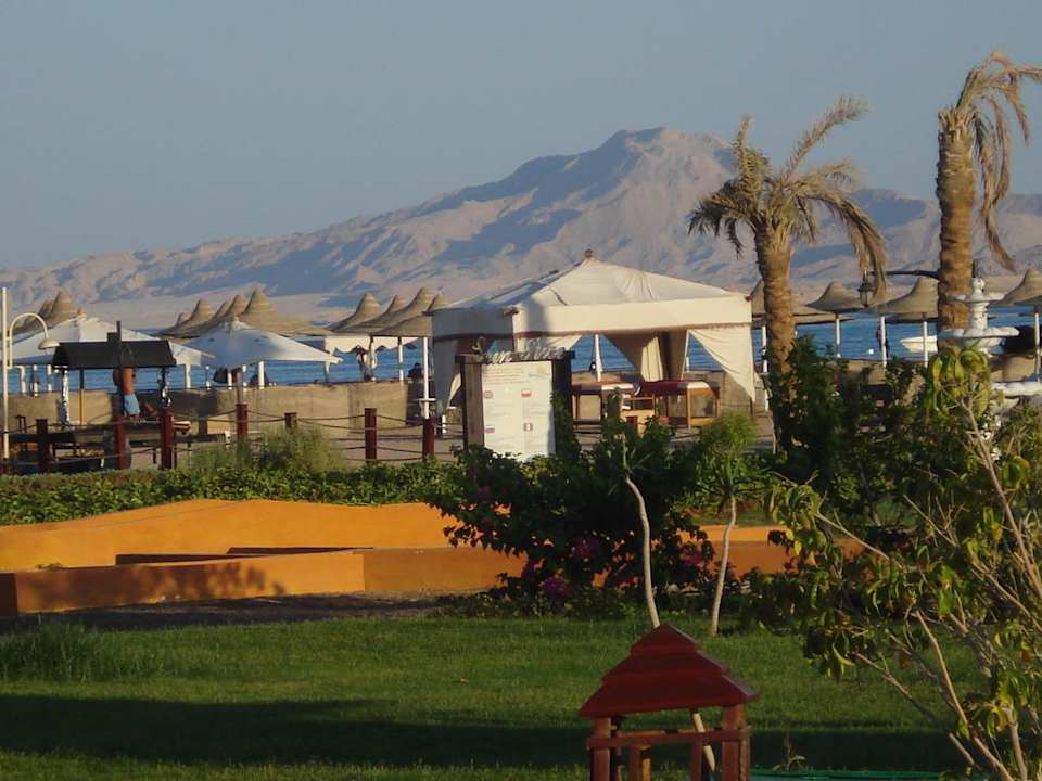 Widok na wyspę Regency Plaza Aqua Park & Spa