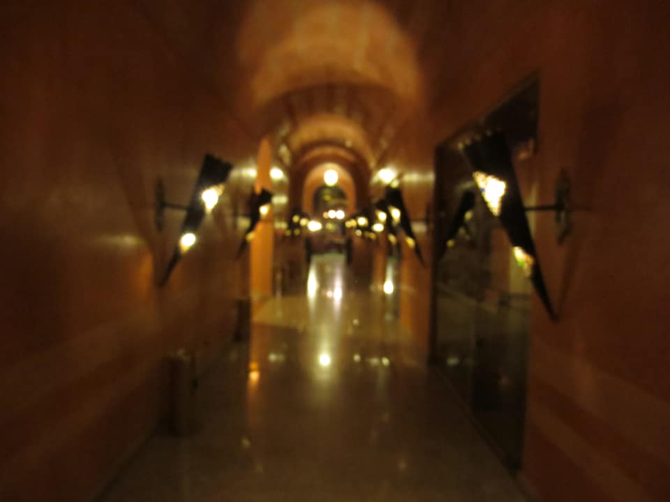 --- Pickalbatros Palace Resort