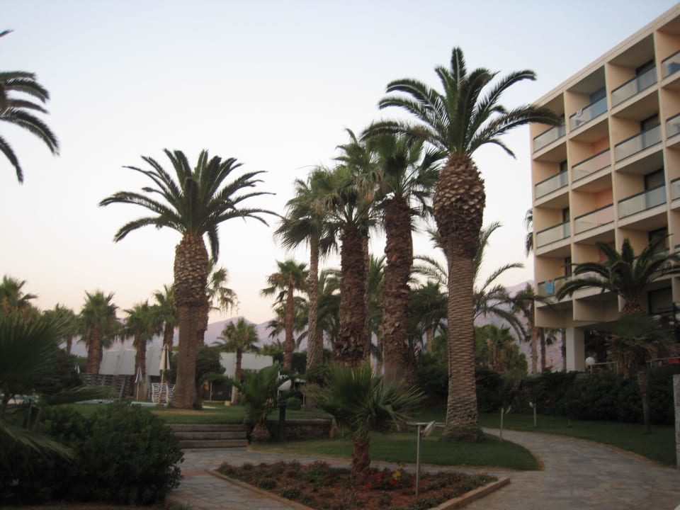 Blick vom Familienzimmer Calimera Sirens Beach