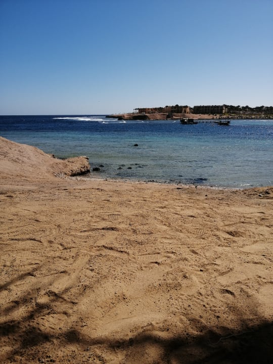 Strand Steigenberger Coraya Beach - Adults only