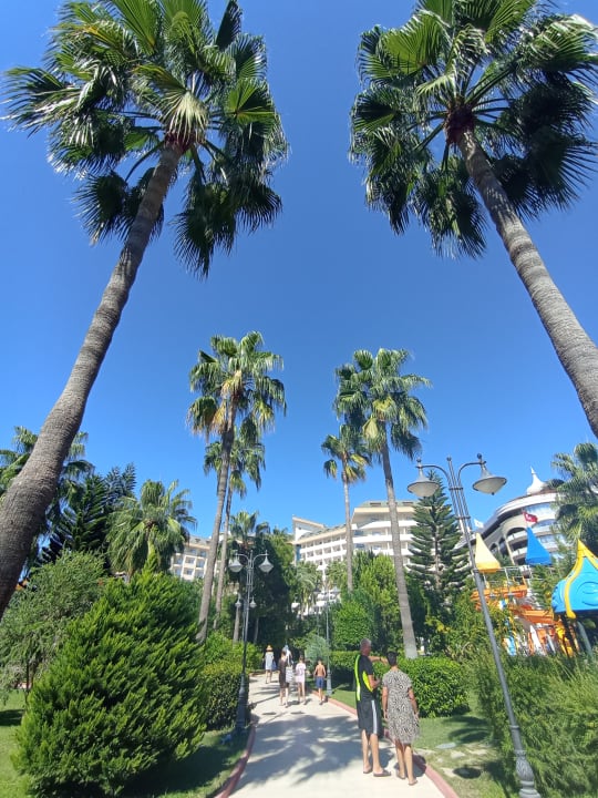 Außenansicht Saphir Resort & Spa