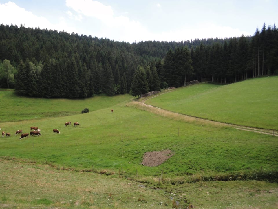 Pure Erholung Ferienwohnung Altvogtshof