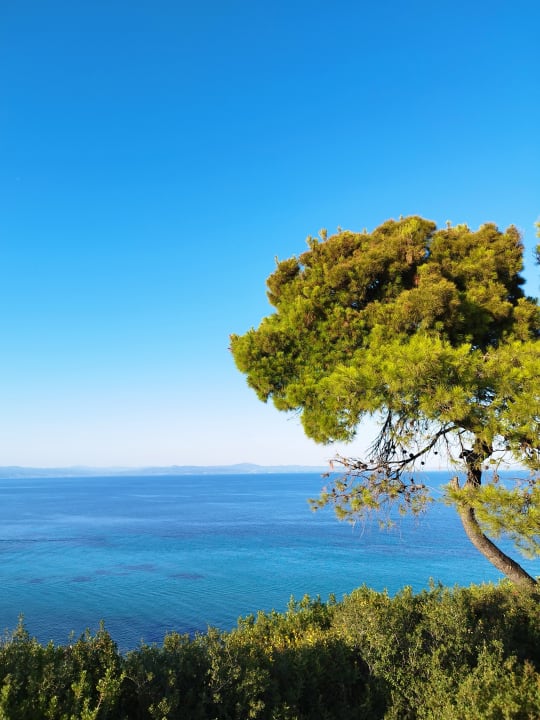 Ausblick Cora Hotel & Spa