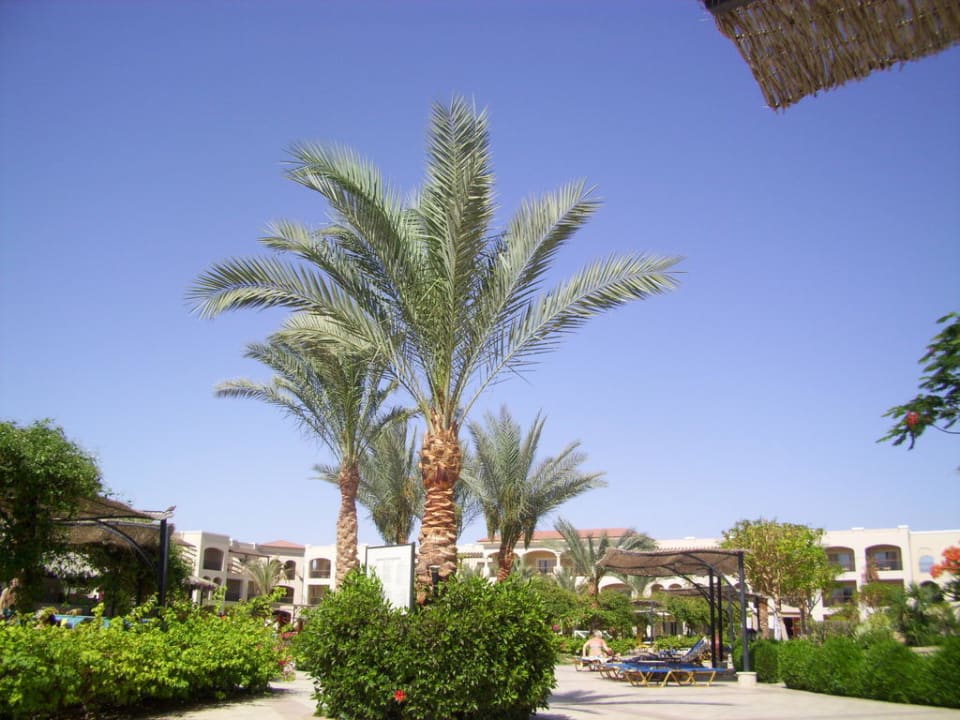 Hotel  Jaz Mirabel Park & Club