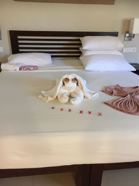 Zimmer Club Hotel Dolphin