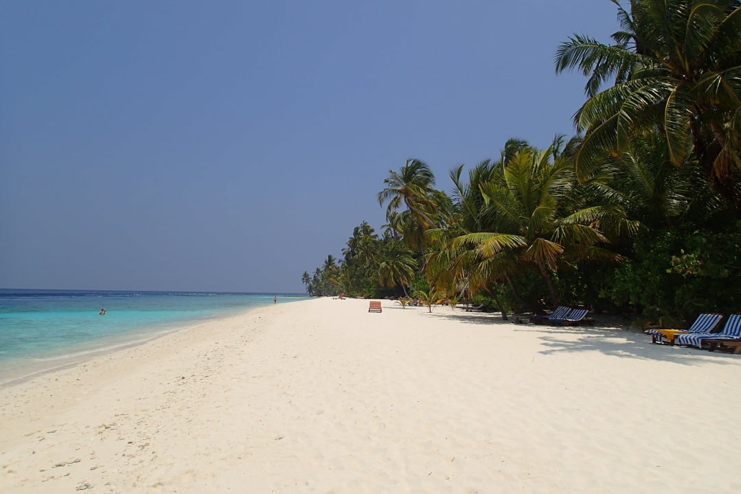 Liegen zu den Bungalows ab 62 aufwärts Filitheyo Island Resort