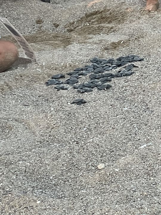 Strand Monachus Family Resort Sorgun