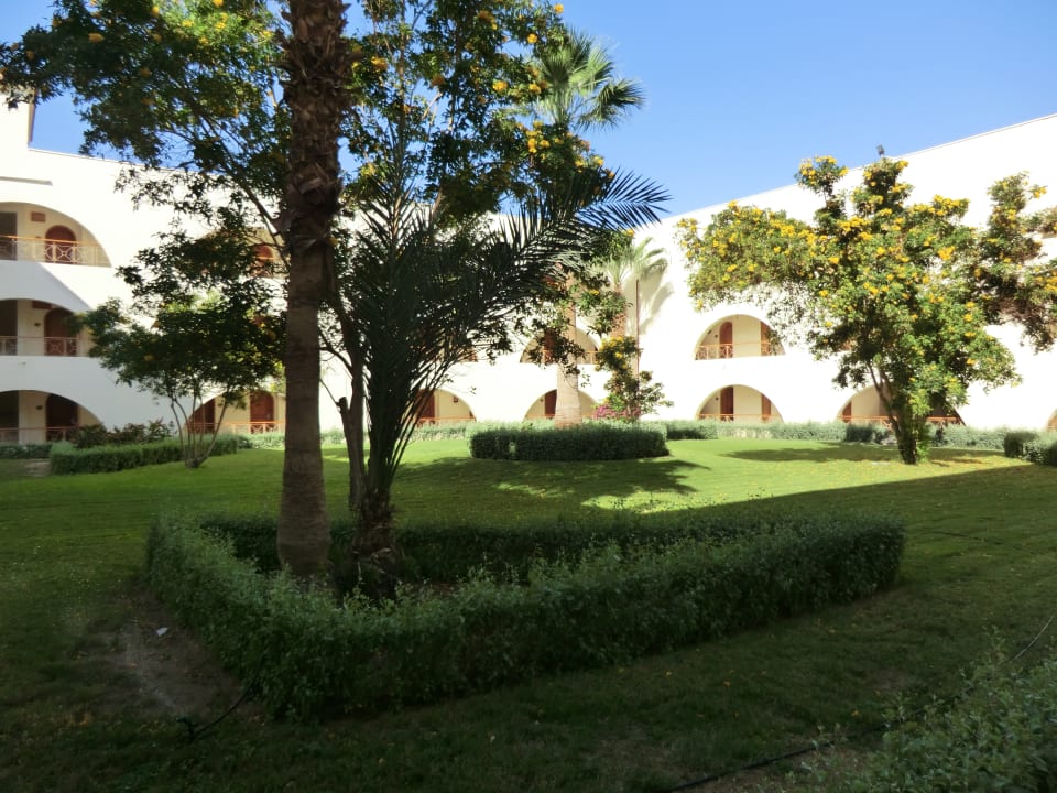 Der Blick in den Innenhof Desert Rose