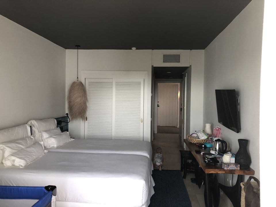 Zimmer Dreams Jardín Tropical