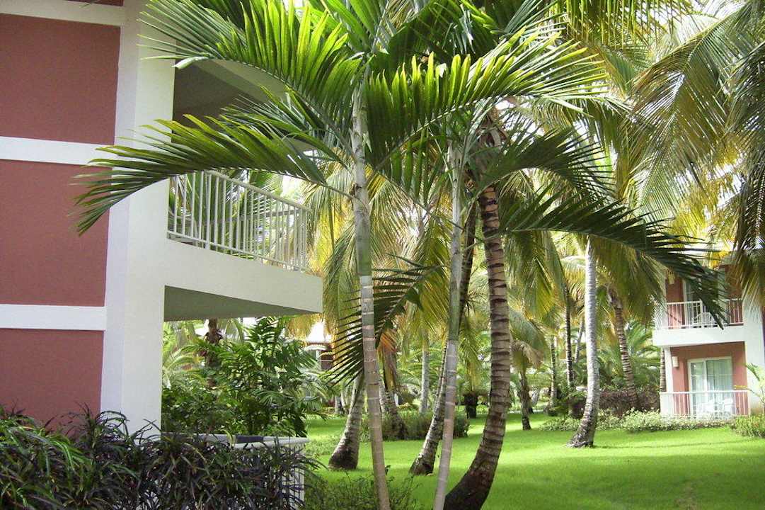 schöner Garten Grand Palladium Select Bávaro Resort & Spa