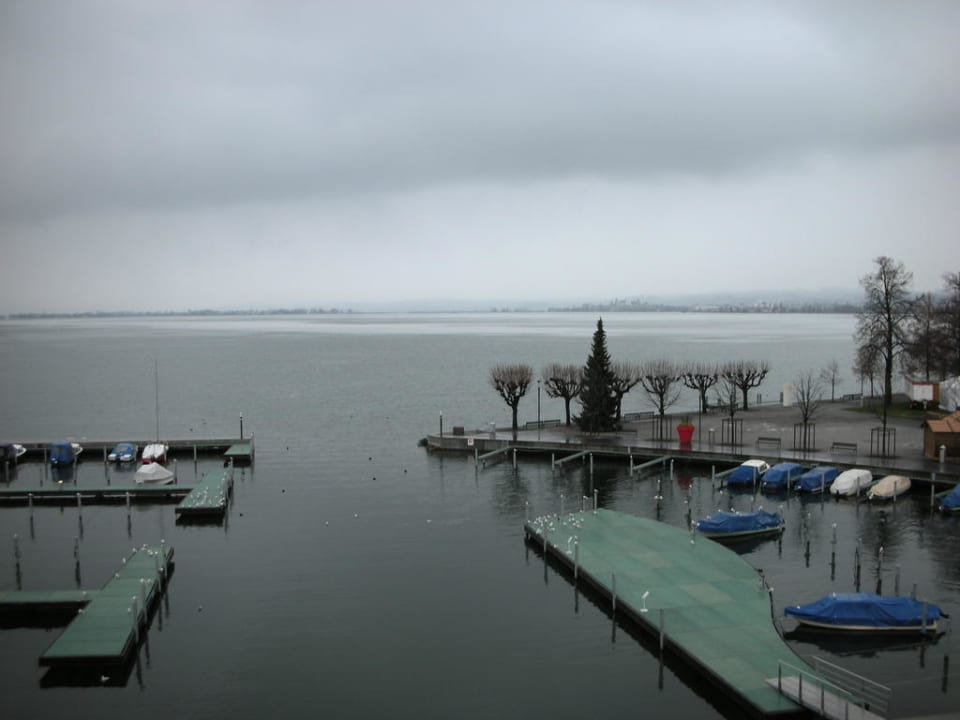 Schöne Weitsicht Marina Lachen