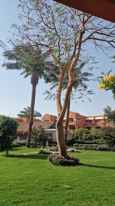 Gartenanlage Sentido Caribbean World Soma Bay