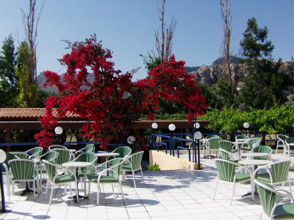 Außengastronomie Hotel Golden Odyssey