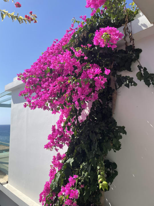 Sonstiges Atrium Prestige Thalasso Spa Resort & Villas