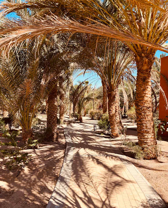 Gartenanlage Sheraton Miramar Resort El Gouna