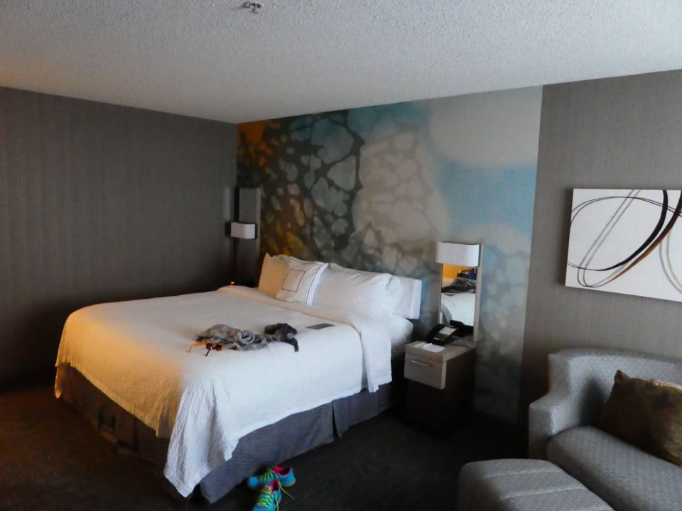 Zimmeransicht 1 Courtyard by Marriott Charlotte City Center