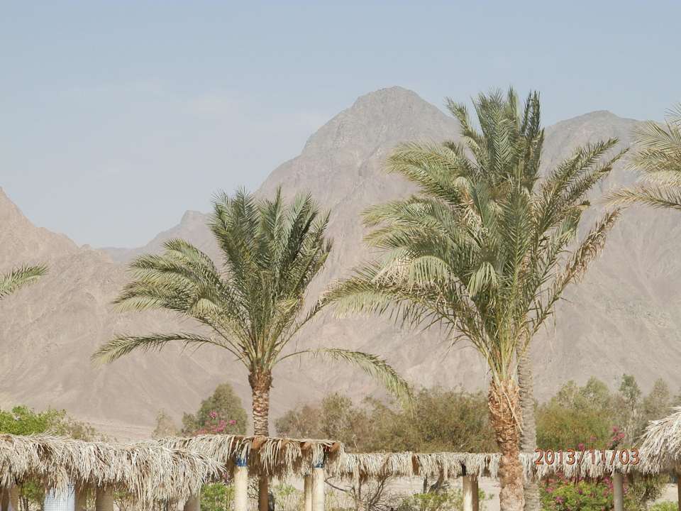 ВИД НА ГОРЫ Aquis Taba Paradise Resort