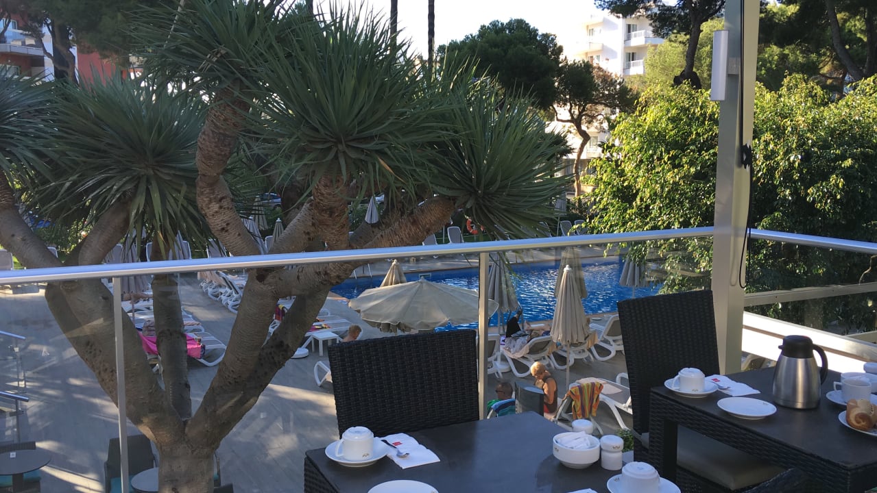 Ausblick Hotel Riu Festival