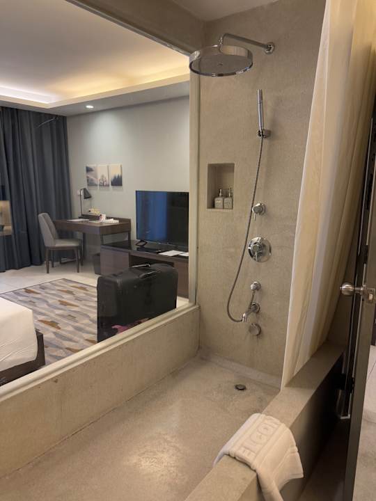 Zimmer The Silver Palm Wellness Resort