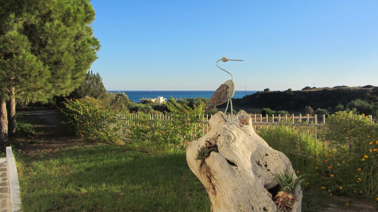 Ausblick Ekaterini Hotel