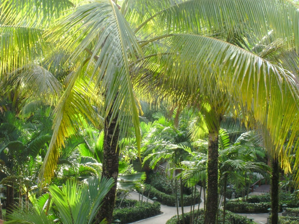 Zimmerausblick Khao Lak Bayfront Resort
