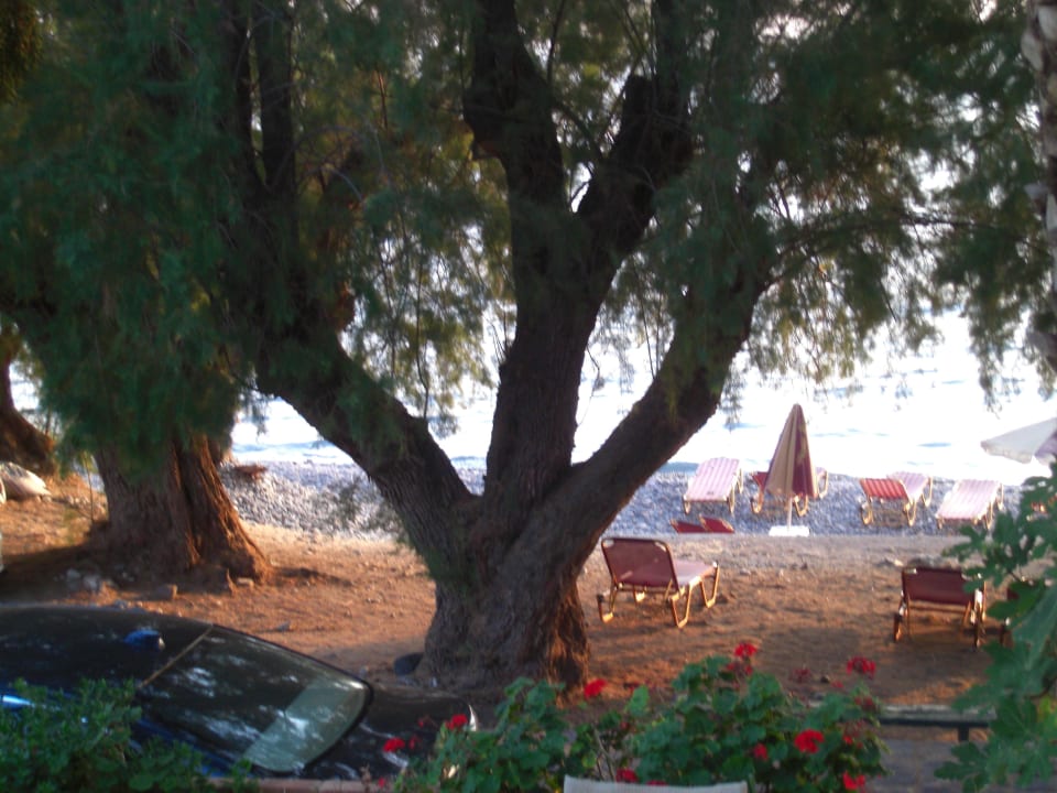 Strand Hotel Molivos 1