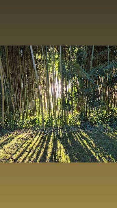Gartenanlage Du Lac et Du Parc Grand Resort