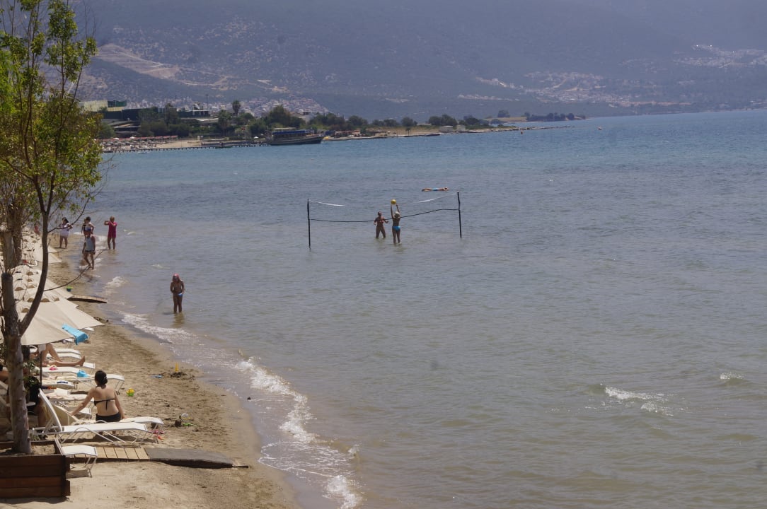 Strand Asteria Venus Didim