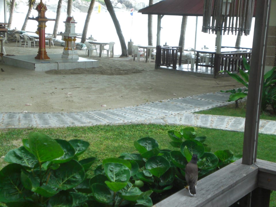 Von der Veranda Richtung Beach Palita Lodge