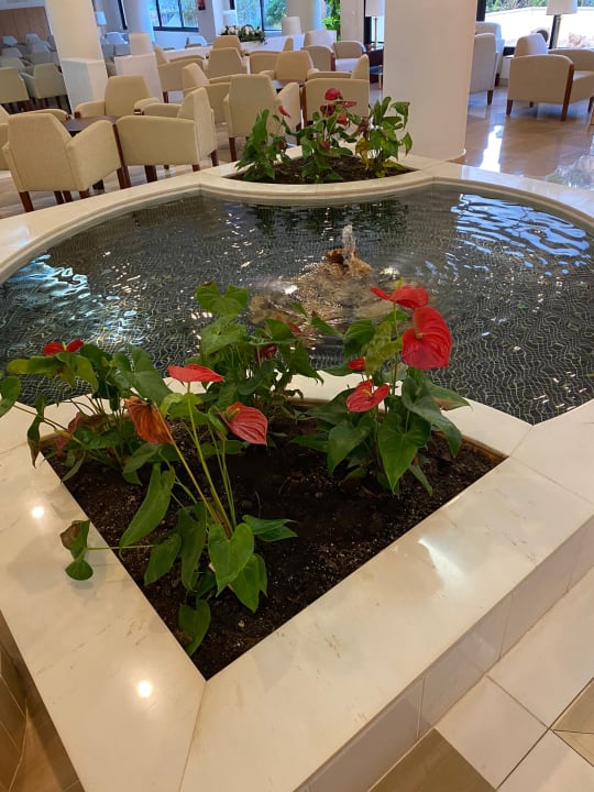 Sonstiges Welikehotel Marfil Playa