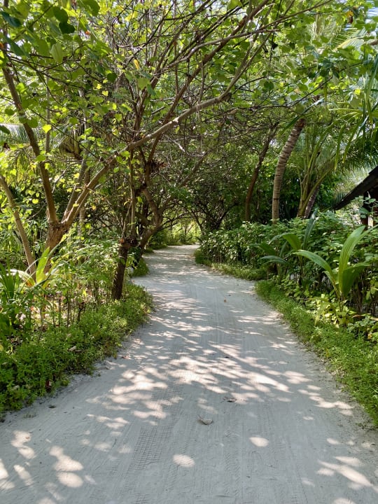 Gartenanlage Fushifaru Maldives