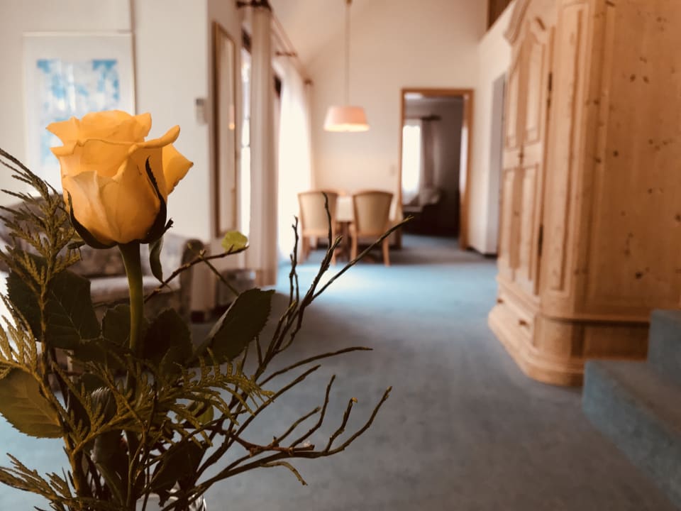 Zimmer Park-Appartements