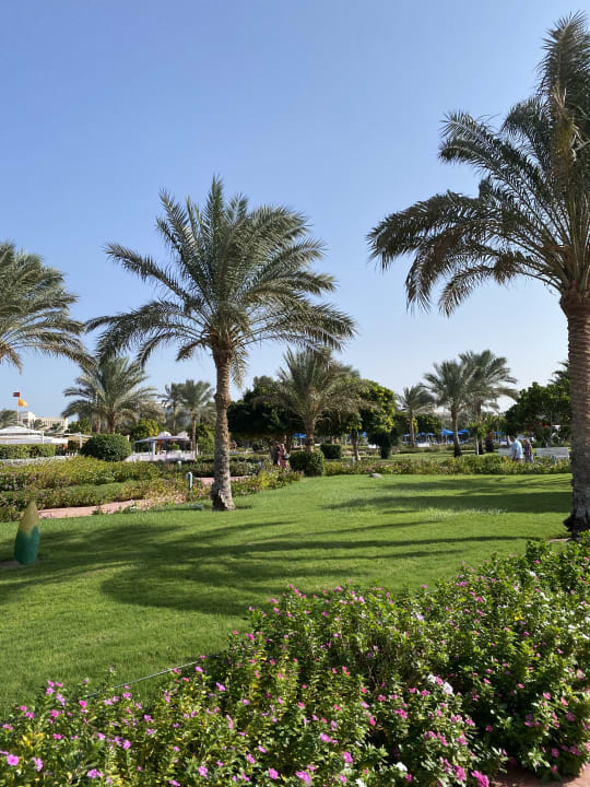 Gartenanlage Desert Rose